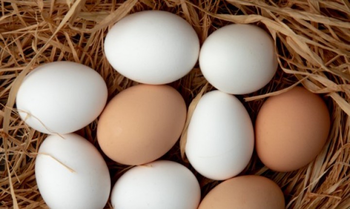 O ovo é mais nutritivo do que você imagina