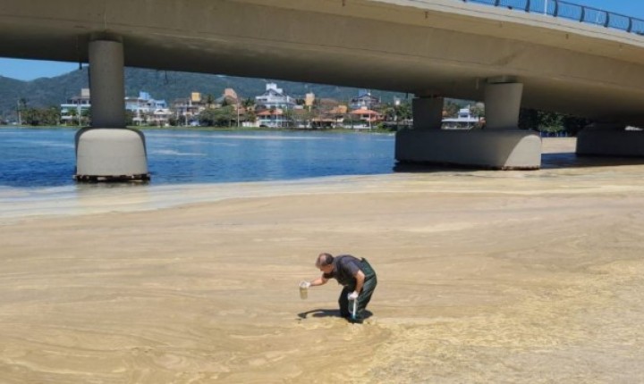 Lagoa da Conceição enfrenta ação de limpeza