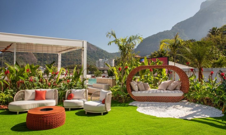 Plantas perfeitas para sacadas com sol intenso