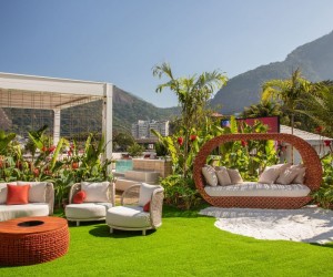 Plantas perfeitas para sacadas com sol intenso