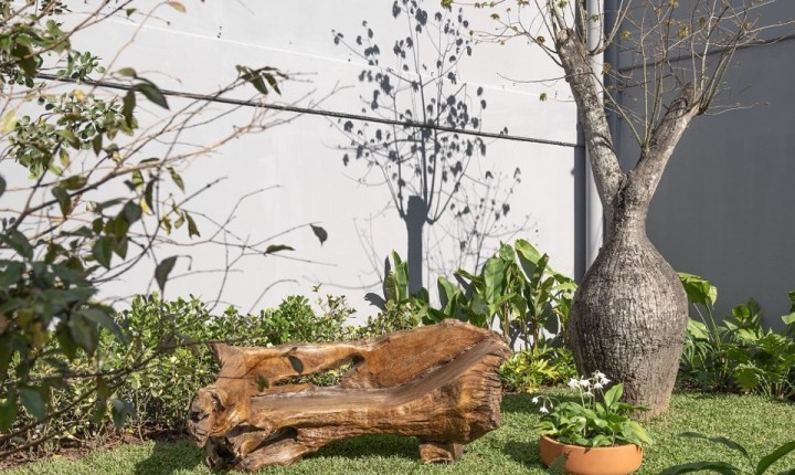 Jardim da CASACOR SC ganha trilha com toque estrangeiro