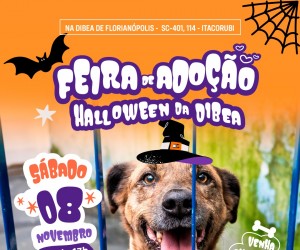 Dibea celebra Halloween com feira especial de adoção