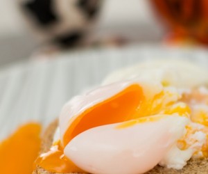 O ovo e seus encantos, por André Vasconcelos