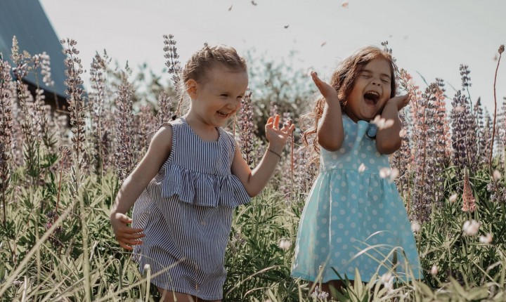 A Alice de Carroll e as outras meninas, por Luzia Almeida