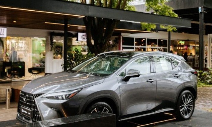 Grupo HAI inaugura era Lexus no mercado catarinense