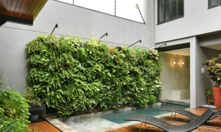 Como criar um jardim vertical sustentável com plantas brasileiras