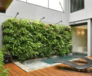 Como criar um jardim vertical sustentável com plantas brasileiras