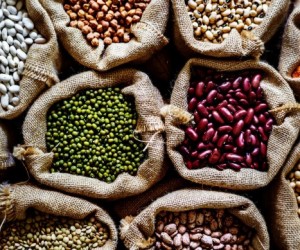 Germinação de grãos transforma a nutrição do dia a dia