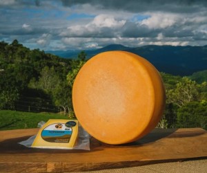 Queijaria de SC conquista prêmio e reforça identidade local