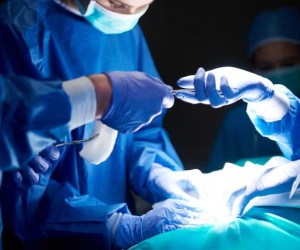 Doação de rim em vida ganha explicações essenciais