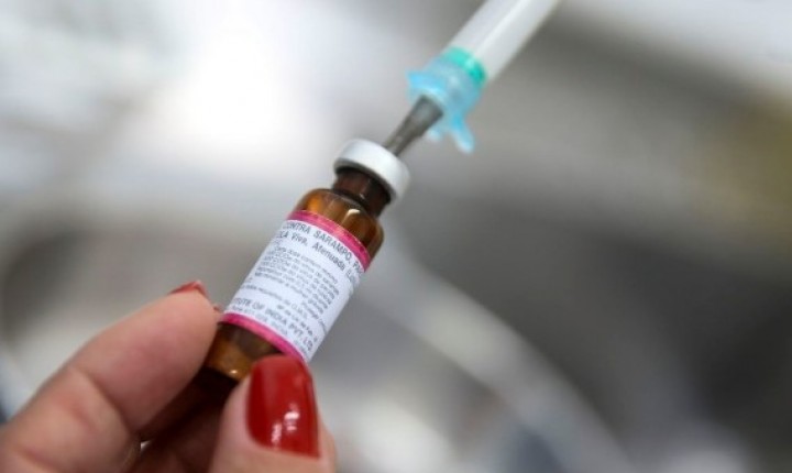 Operação Verão reforça imunização diante de risco global