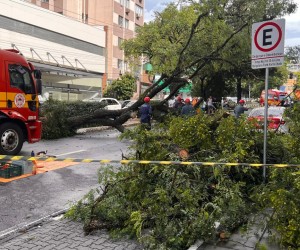 Ciclone provoca ventos de até 80 km/h e causa transtornos em Florianópolis