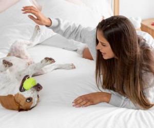 Pets precisam de rotina?