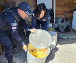 Operação na Praia da Daniela apreende carrinhos ilegais