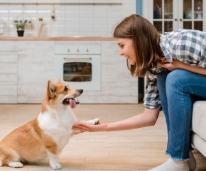 Novo ano marca começo consciente da vida com pet
