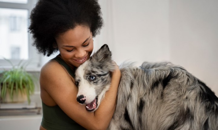 Bem-estar emocional dos pets ganha destaque