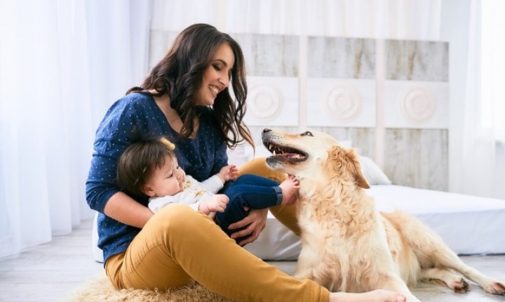 Amor aos animais redefine consumo e cuidados no Brasil