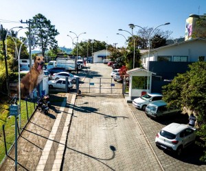 Homenagem ao cão Orelha marca novo hospital veterinário 
