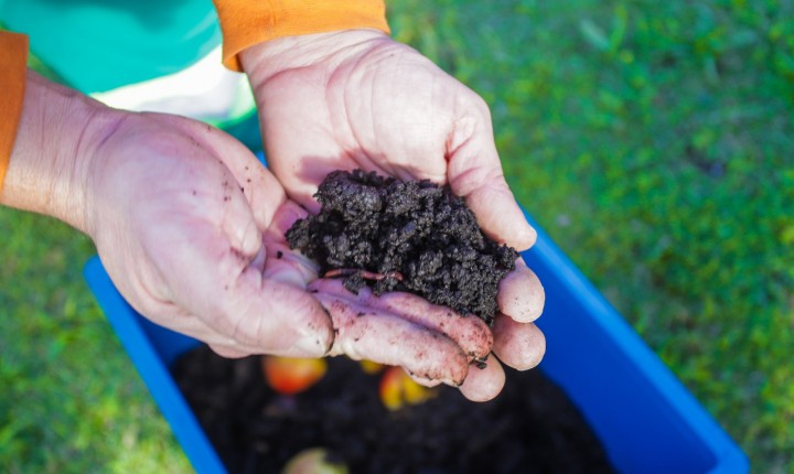 Compostagem doméstica reduz quase mil toneladas de lixo