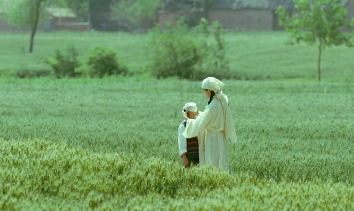 Vencedor do Urso de Prata em Berlim, 'Living The Land' estreia em Florianópolis
