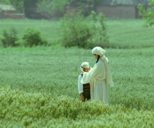 Vencedor do Urso de Prata em Berlim, 'Living The Land' estreia em Florianópolis