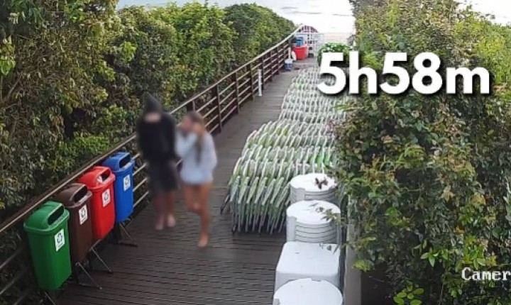 Caso Orelha tem investigação concluída e pedido de internação