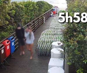 Caso Orelha tem investigação concluída e pedido de internação