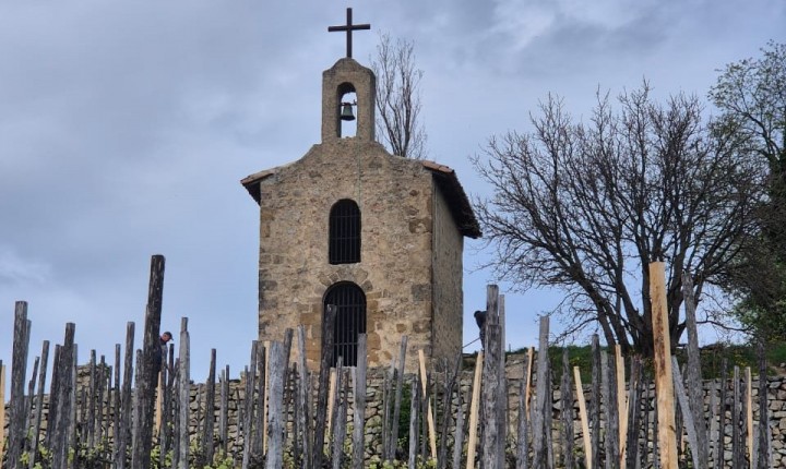 Hermitage: A força do Rhône Norte, por Eduardo Araújo 