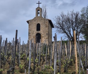 Hermitage: A força do Rhône Norte, por Eduardo Araújo 