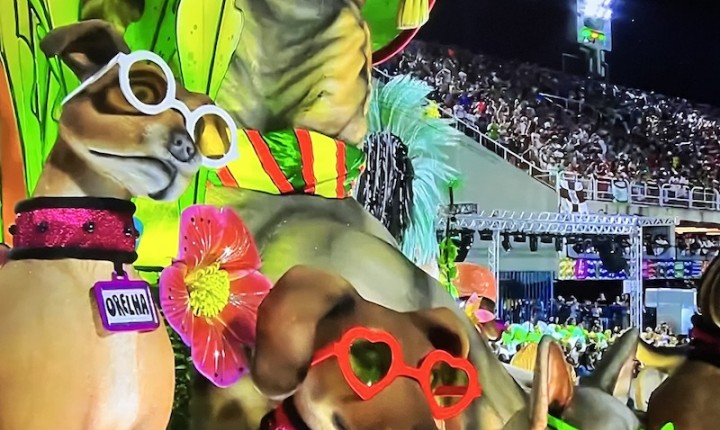 Cão Orelha é homenageado na Sapucaí