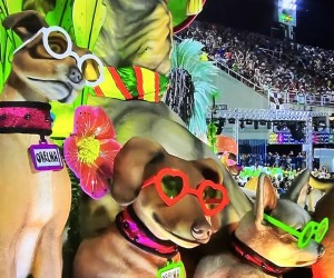 Cão Orelha é homenageado na Sapucaí