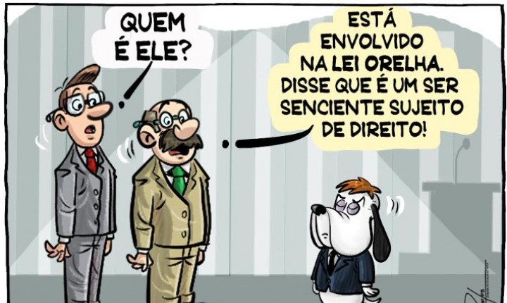 Raul Sartori apresenta mix de notícias políticas de SC - 18/02