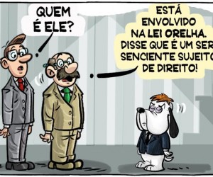 Raul Sartori apresenta mix de notícias políticas de SC - 18/02