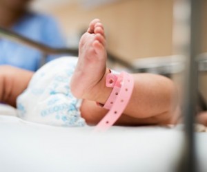 Floripa enfrenta VSR com anticorpo inovador