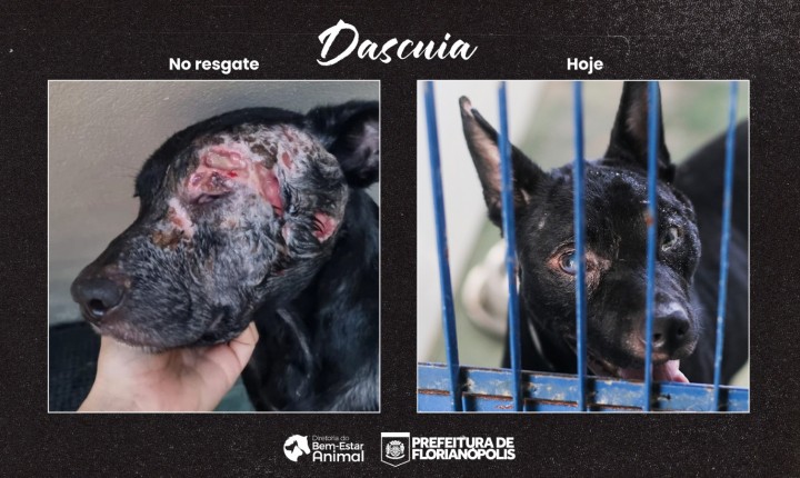 Denúncias revelam realidade cruel na Capital