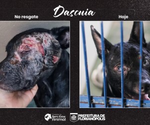 Denúncias revelam realidade cruel na Capital