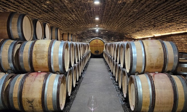 Gevrey-Chambertin: Structure avec élégance, por Eduardo Araújo