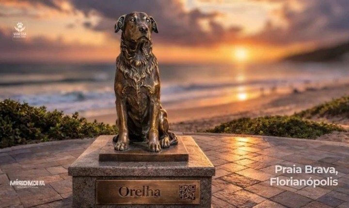 Campanha busca eternizar o cão Orelha em Floripa