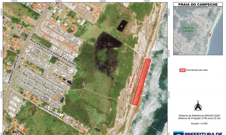 Praia com pets tem regras e fiscalização