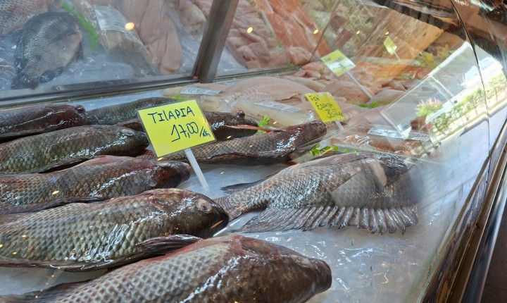 Peixes frescos ganham protagonismo no almoço de Páscoa
