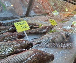 Peixes frescos ganham protagonismo no almoço de Páscoa