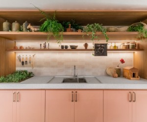 Lugares pouco óbvios renovam decoração com plantas