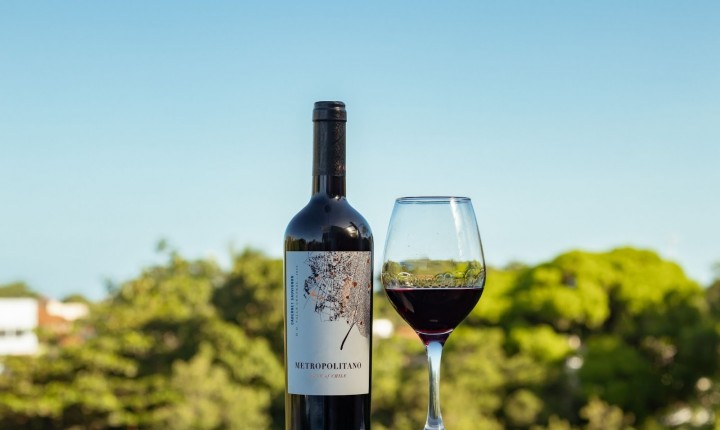 Vinho chileno lidera ranking de custo-benefício