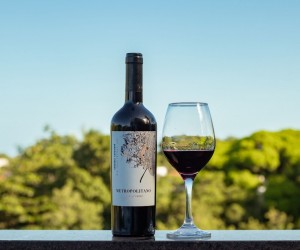 Vinho chileno lidera ranking de custo-benefício