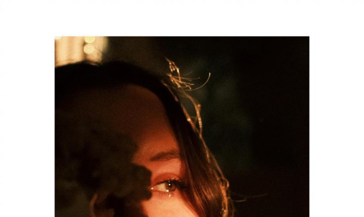 As Emoções como Bússolas, por Denise Evangelista Vieira 