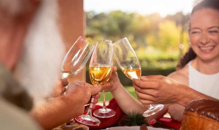 Vinhos ideais para brindar a chegada do outono