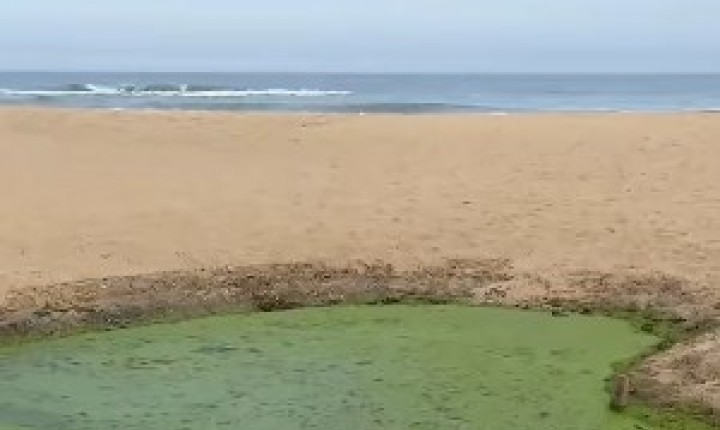 Novo Campeche registra sinais de poluição persistente