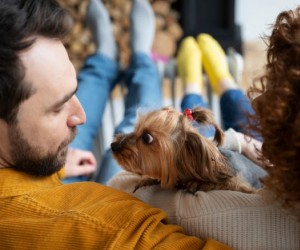 Divórcio inclui pets e gera disputas judiciais