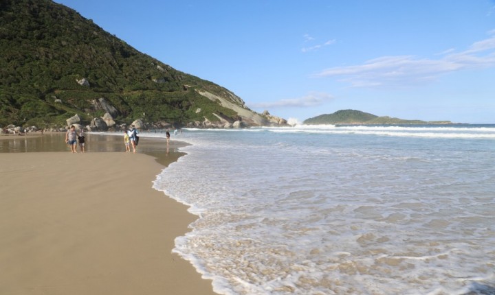 Surfistas precisam se adaptar à safra da tainha