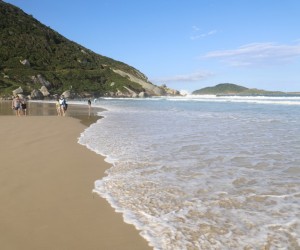 Surfistas precisam se adaptar à safra da tainha
